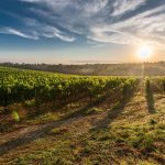 Farming is All About the Do-it-yourself Approach